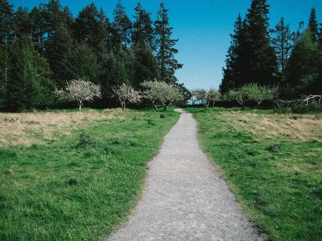 스와니 주택 1층 전체 room image 2